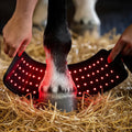 Lumora Hoof Sleeves™