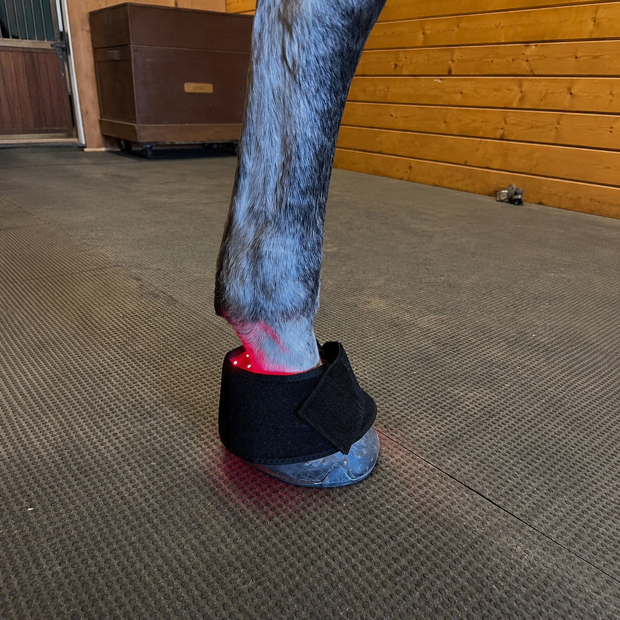 Lumora Hoof Sleeves™