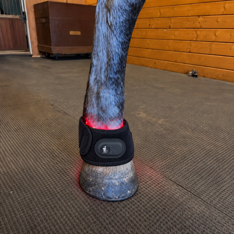 Lumora sleeve fitted just above the hoof, showing the control panel and red glow